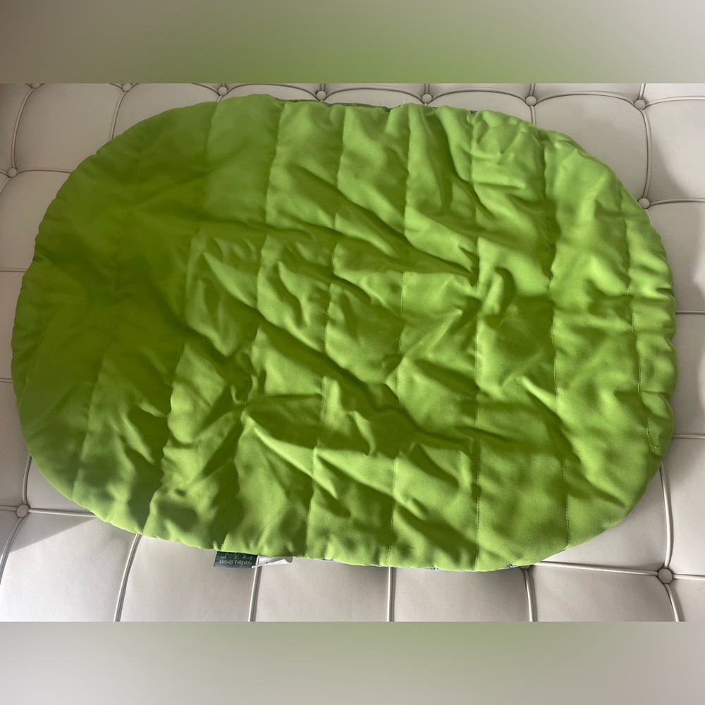 Friends Forever travel Pet bed/blanket